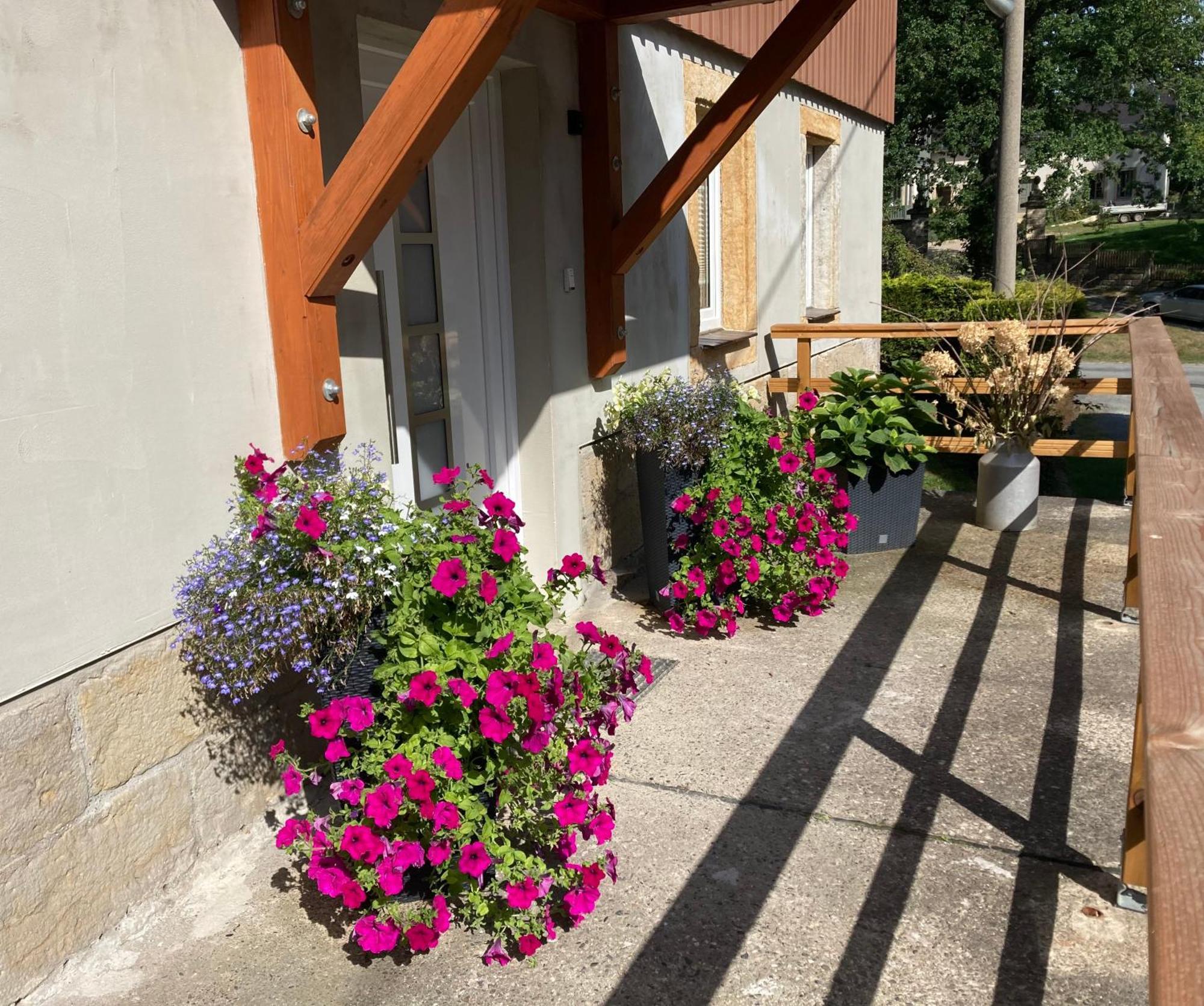 Ferienwohnung "Am Kirchsteig" Gohrisch Kültér fotó